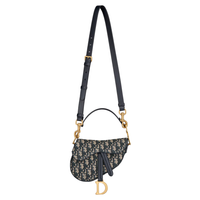 Dior Saddle Bag