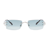 Polychromatic Sunglasses