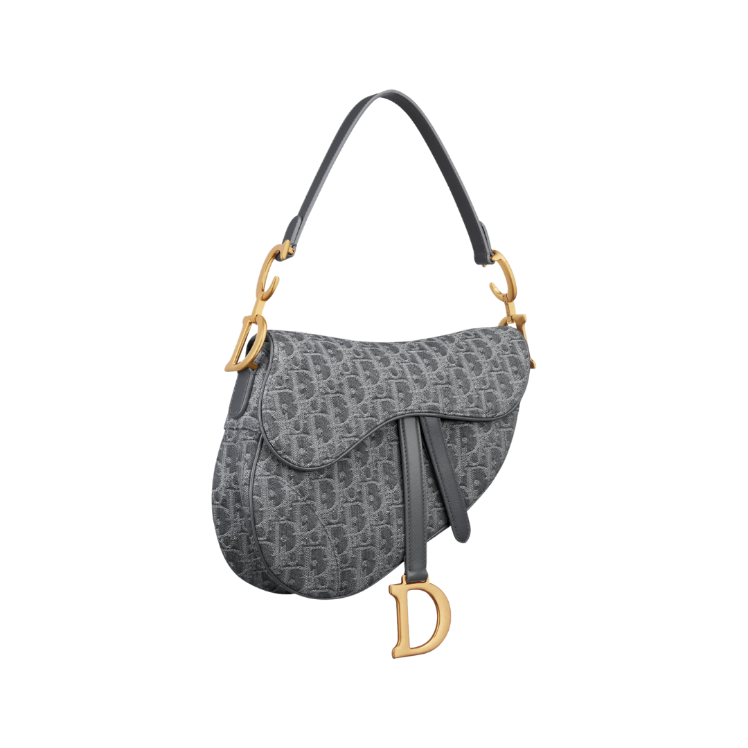 Dior Saddle Bag - Gris