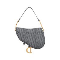 Dior Saddle Bag - Gris