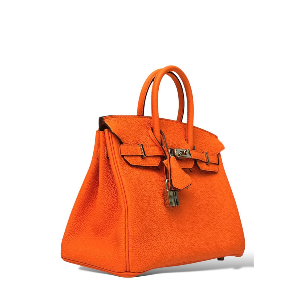Birkin 25 Bag · Nova Neta · Nova Neta