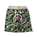 Conjunto BAPE Camo Verde 4