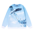 T Eagle Decoded Hoodie · Trapstar · Nova Neta