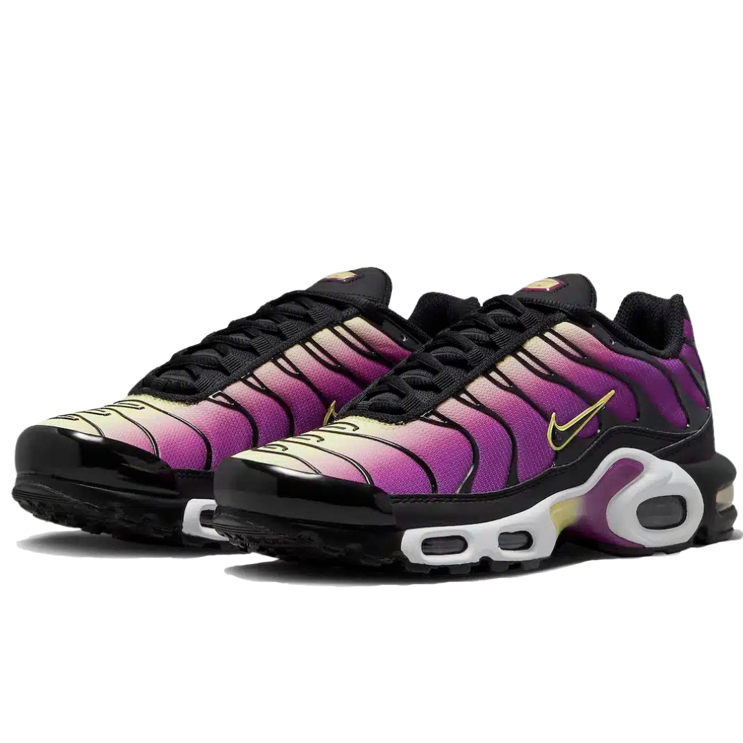 TN Bright Berry · Nova Neta · Nova Neta