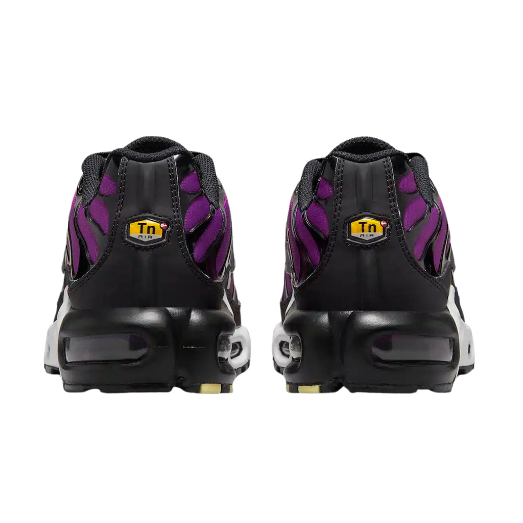 TN Bright Berry · Nova Neta · Nova Neta