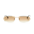 Monochromatic Sunglasses