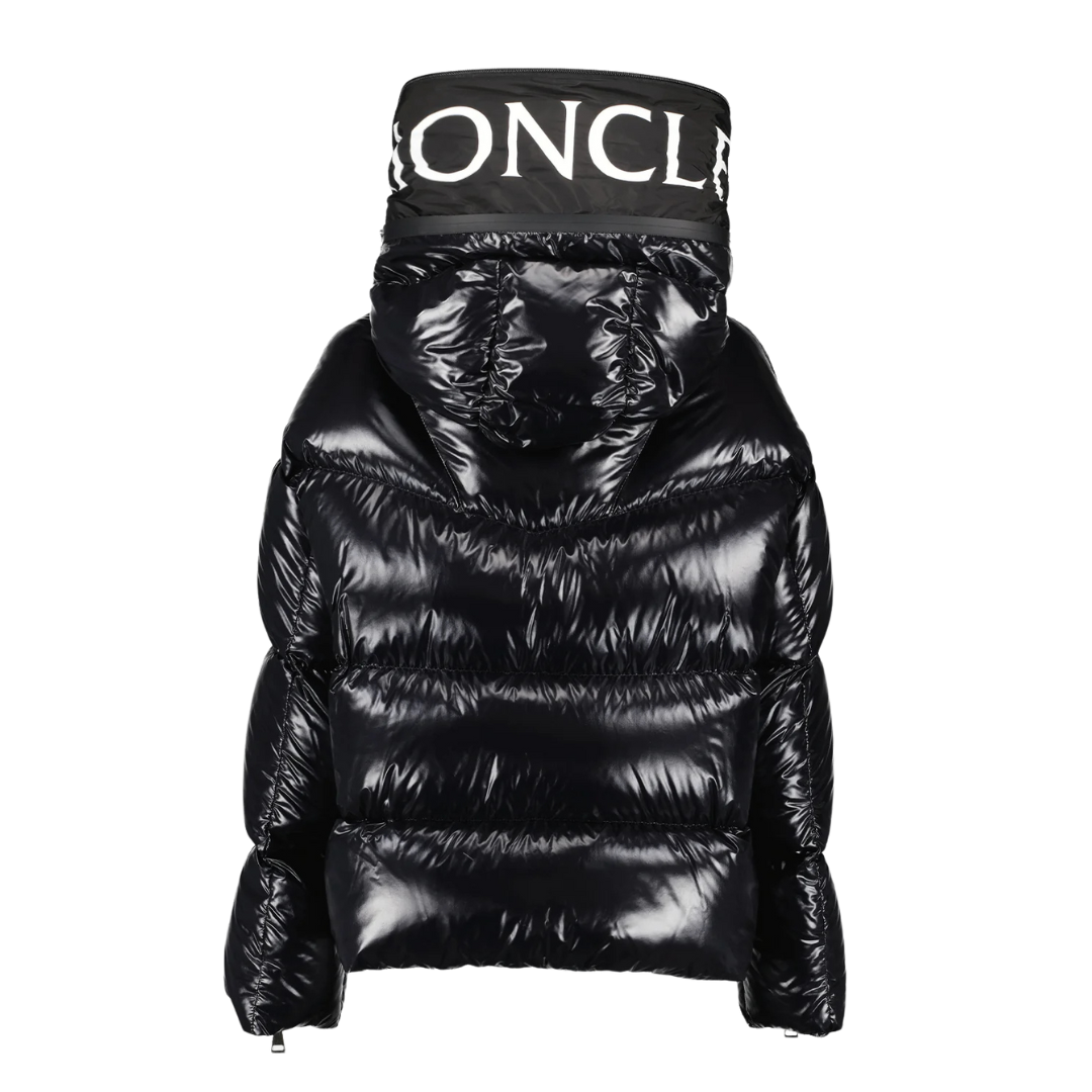 Louis Vuitton Womens Monogram Huppe Down Jacket