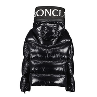 Louis Vuitton Womens Monogram Huppe Down Jacket