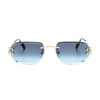 Polychromatic Sunglasses