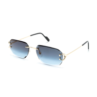 Polychromatic Sunglasses