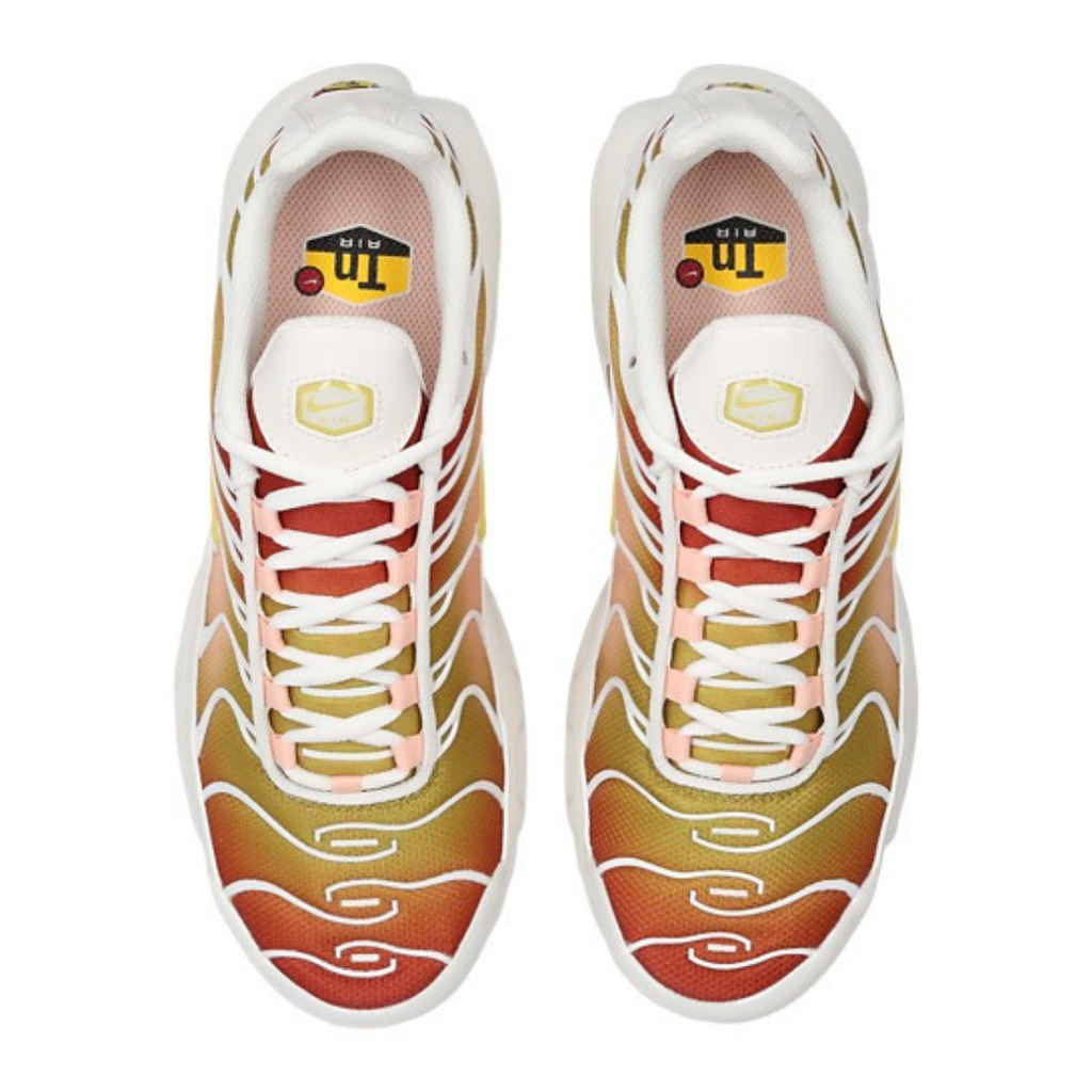 TN Phantom Gold · Nova Neta · Nova Neta