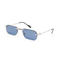 Polychromatic Sunglasses