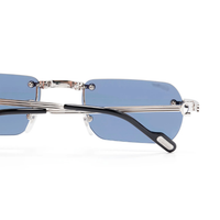 Polychromatic Sunglasses