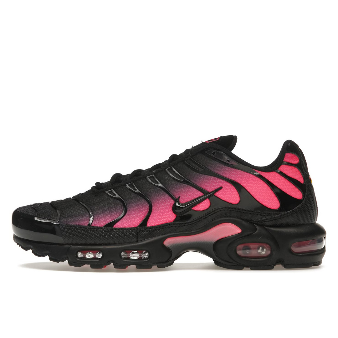 TN Black Pink Gradient · Nova Neta · Nova Neta