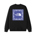 Tnf Monochromatic Hoodie · Stone Island · Nova Neta