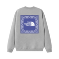 Tnf Monochromatic Hoodie · Stone Island · Nova Neta
