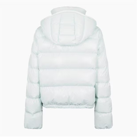 Louis Vuitton Womens Monogram Detachable Jacket - Azul