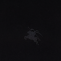 BB Polo