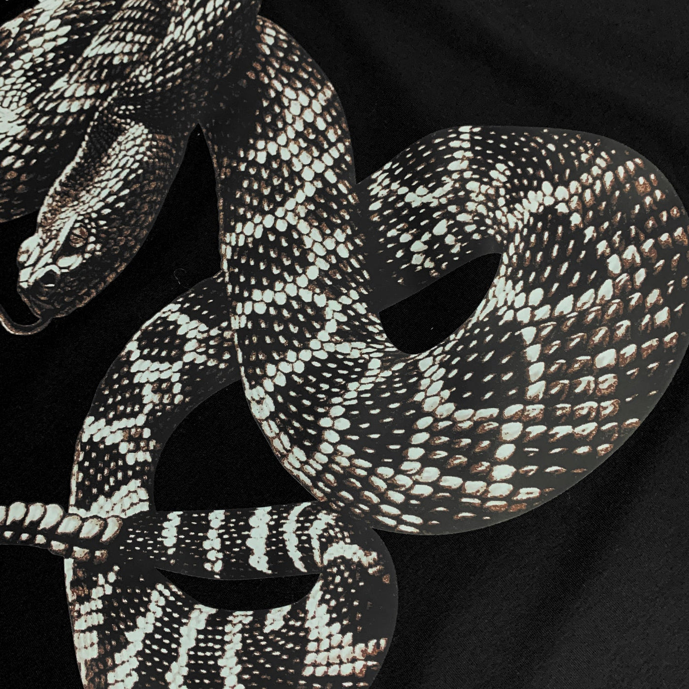 Amr Snake T-shirt Negro