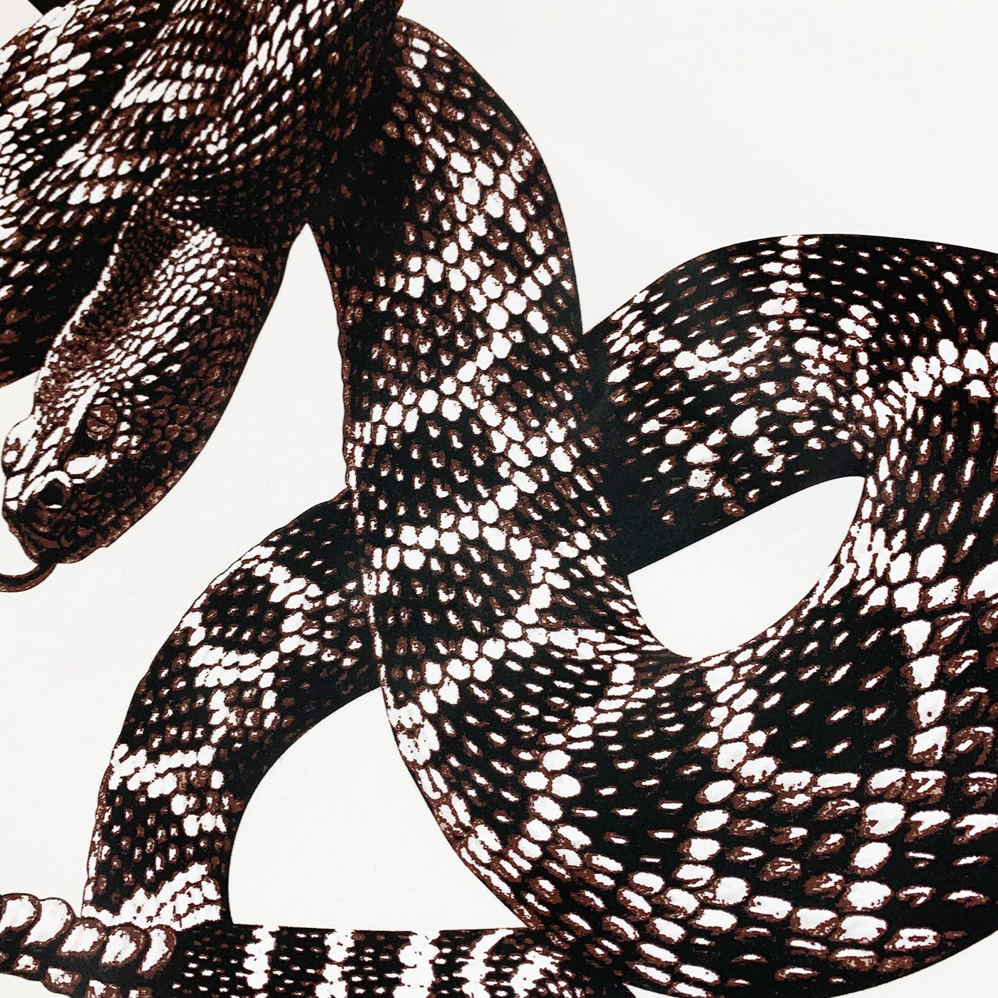 Amr Snake T-shirt Blanco