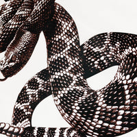 Amr Snake T-shirt Blanco